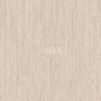 Линолеум Tarkett iq Optima LIGHT SAND BEIGE 0246 фото 1 | FLOORDEALER
